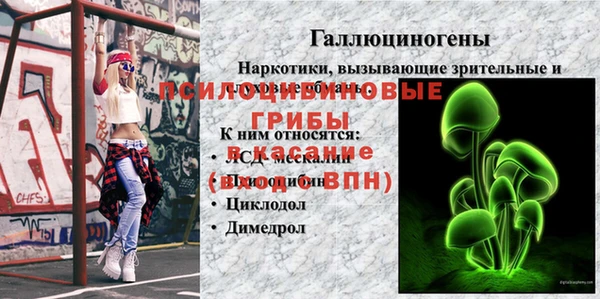 трава Арсеньев