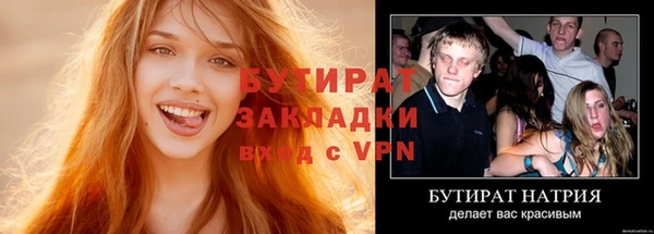 хмурый Аркадак
