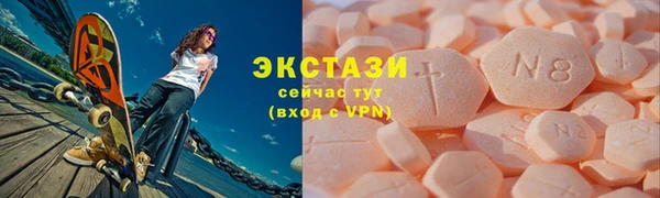 хмурый Аркадак