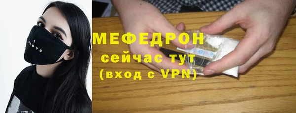хмурый Аркадак