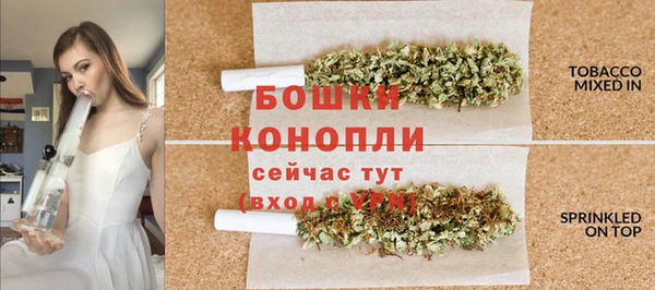 трава Арсеньев