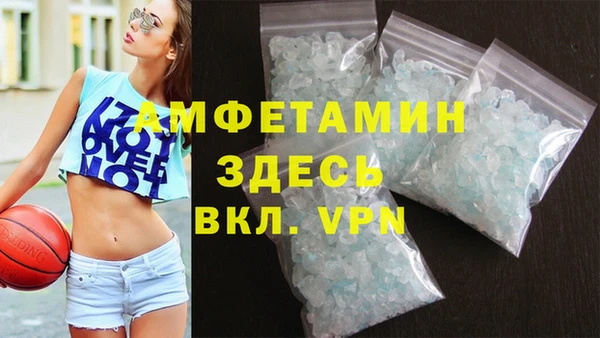 хмурый Аркадак