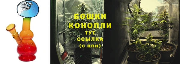 трава Арсеньев